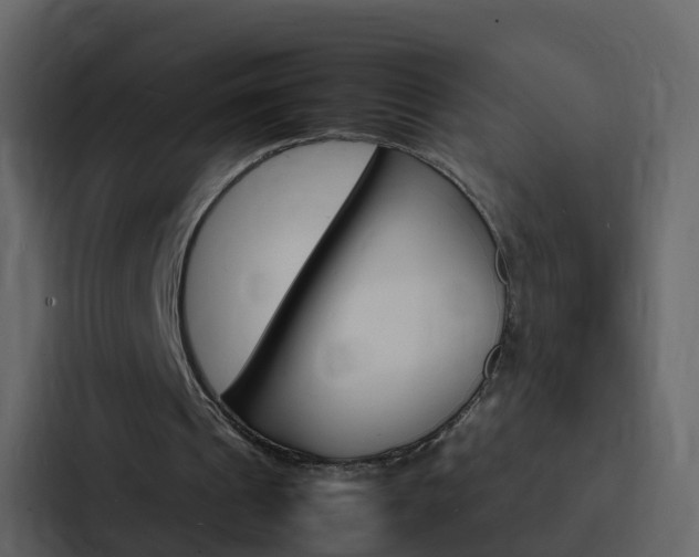 X0000088130241200705141003