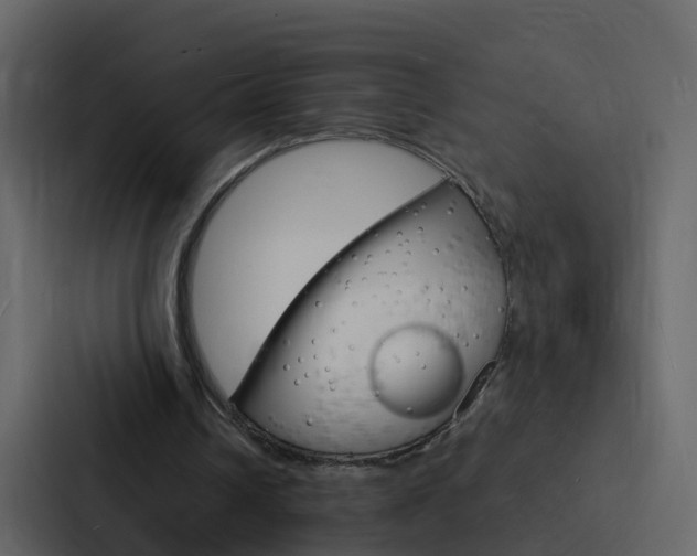 X0000088130242200705141003