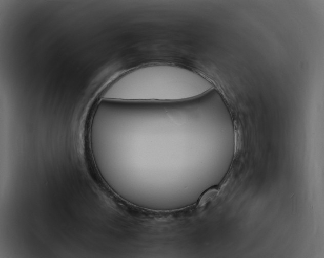 X0000088130243200705141003