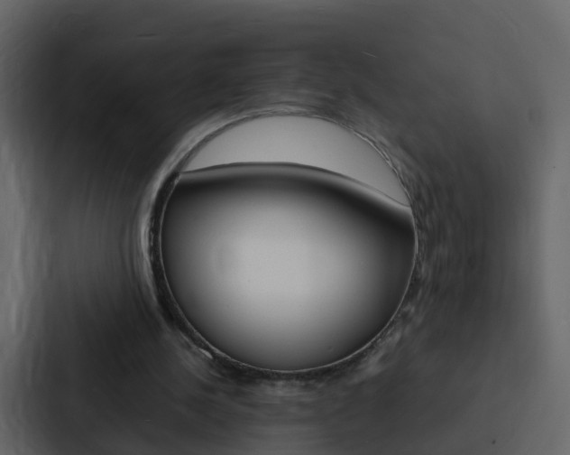 X0000088130244200705141003