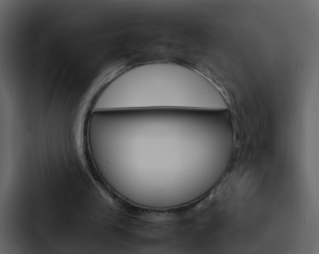 X0000088130245200705141003