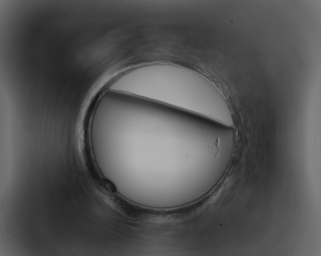 X0000088130246200705141003