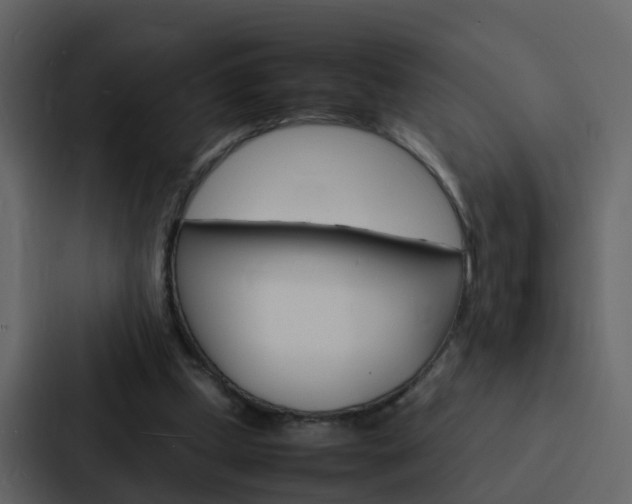 X0000088130249200705141003