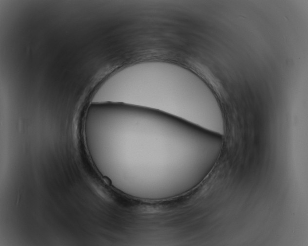 X0000088130250200705141003
