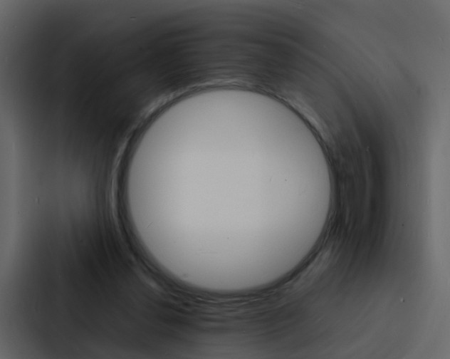 X0000088130252200705141003