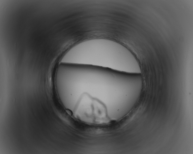X0000088130254200705141003