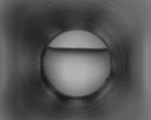 X0000088130255200705141003