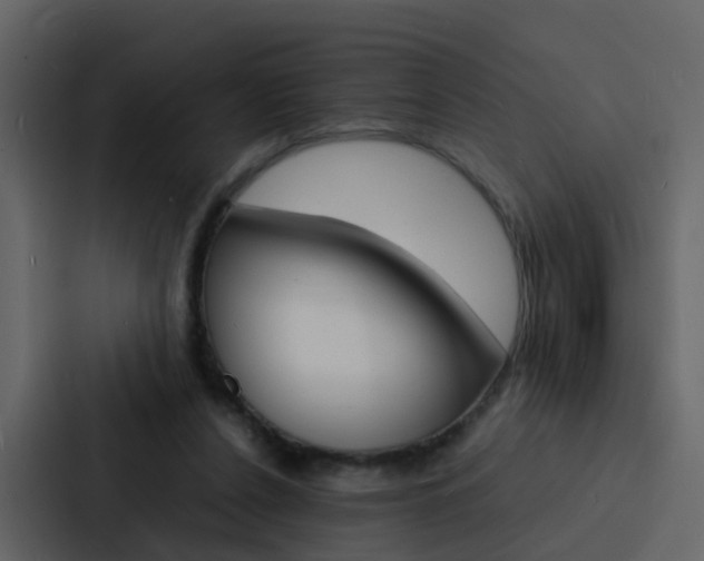 X0000088130256200705141003