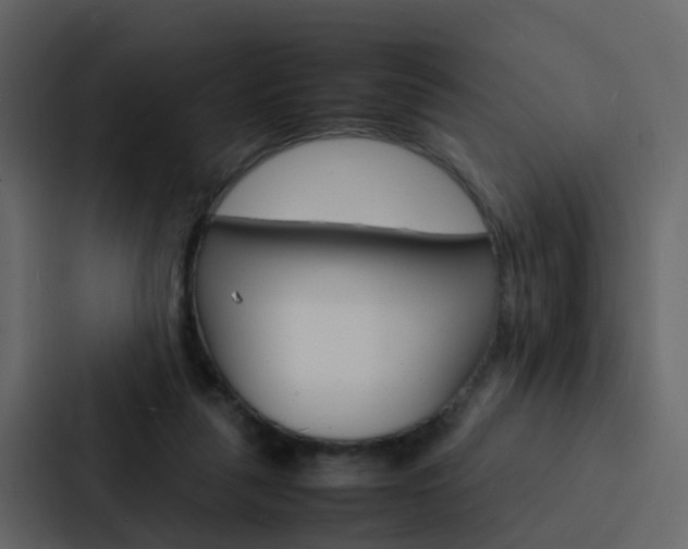 X0000088130259200705141003