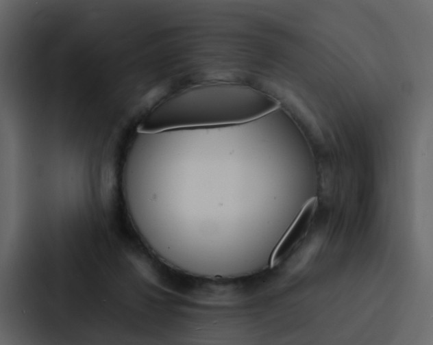 X0000088130260200705141003