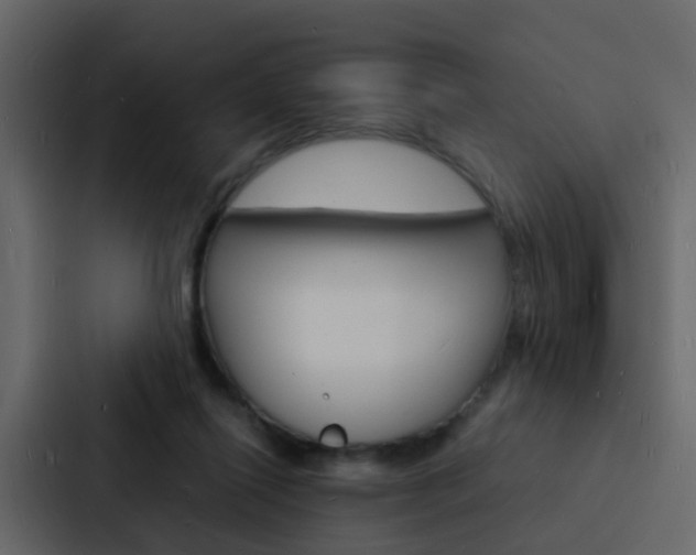 X0000088130262200705141003