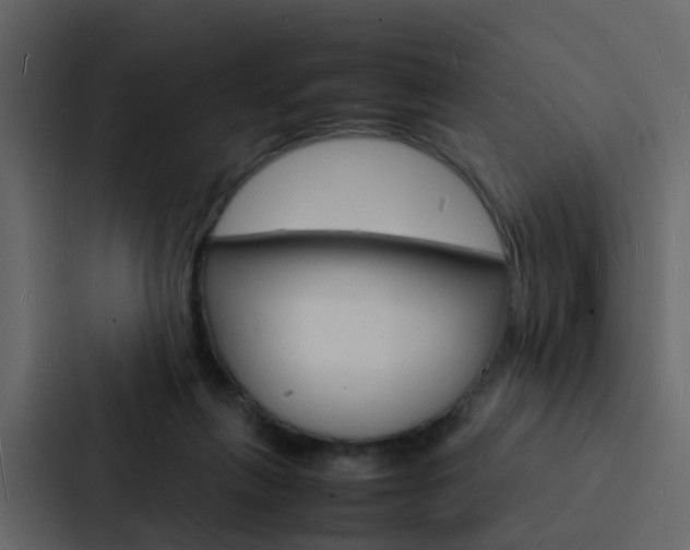 X0000088130263200705141003