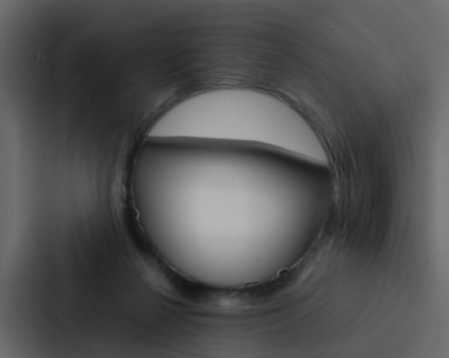 X0000088130264200705141003