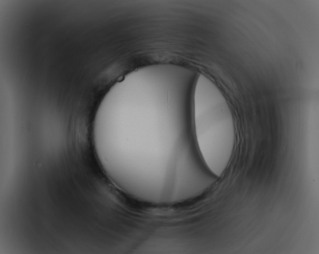X0000088130266200705141003