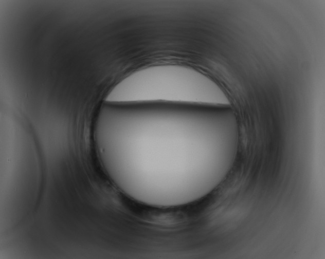 X0000088130267200705141003