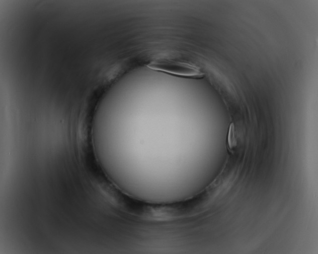 X0000088130268200705141003