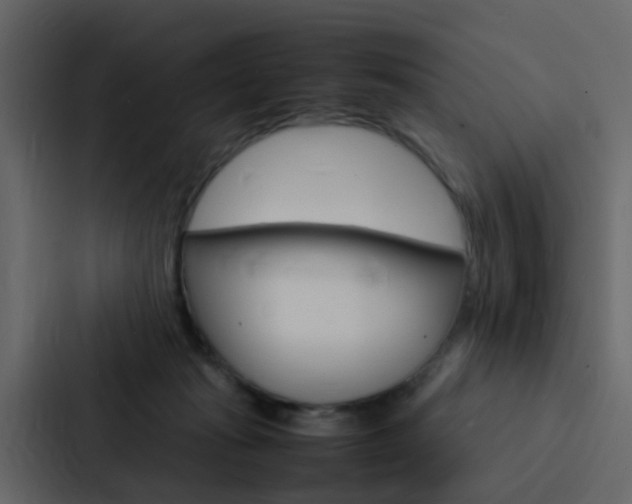 X0000088130269200705141003
