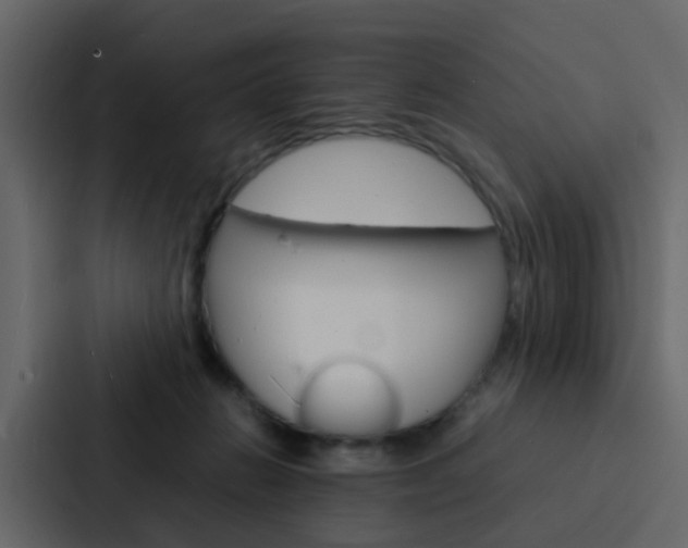 X0000088130270200705141003