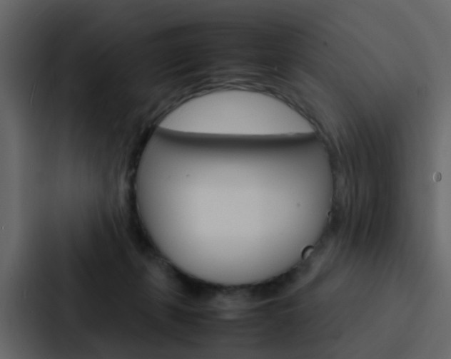 X0000088130271200705141003