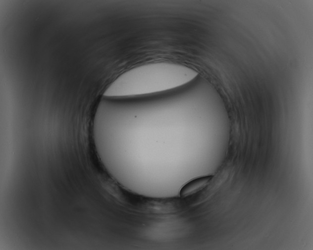 X0000088130275200705141003