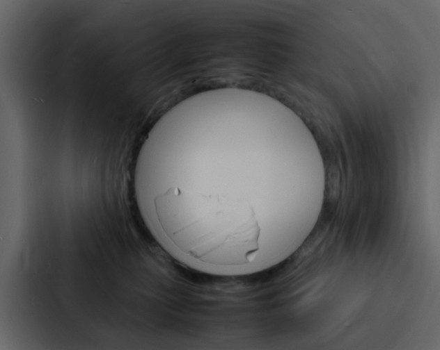 X0000088130279200705141003