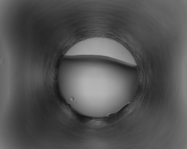 X0000088130280200705141003