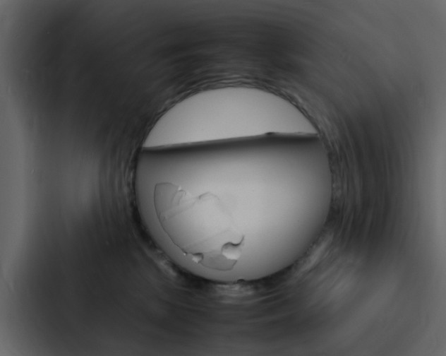 X0000088130281200705141003