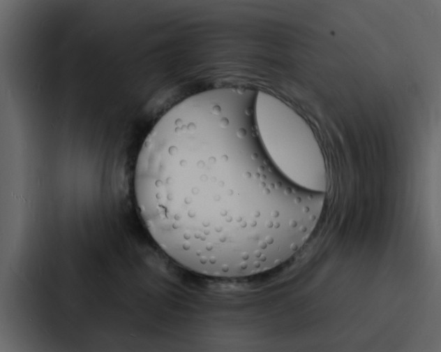 X0000088130282200705141003