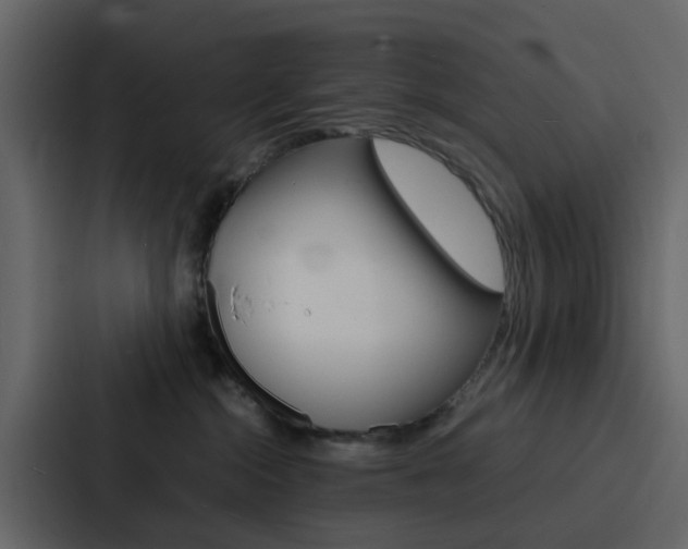 X0000088130284200705141003