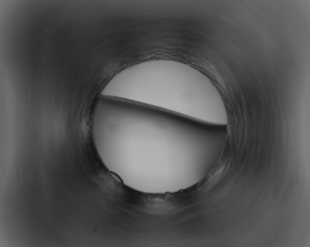 X0000088130285200705141003