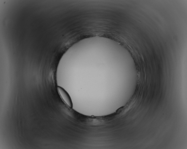 X0000088130286200705141003