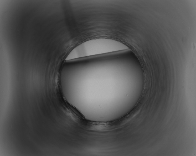 X0000088130288200705141003