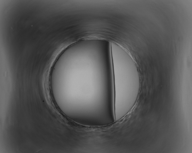 X0000088130289200705141003