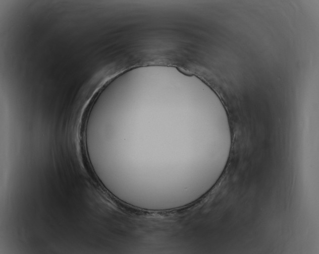 X0000088130290200705141003
