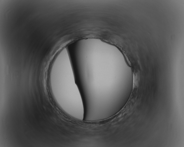 X0000088130291200705141003