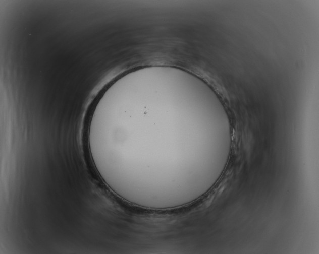 X0000088130292200705141003