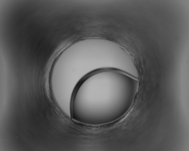 X0000088130293200705141003