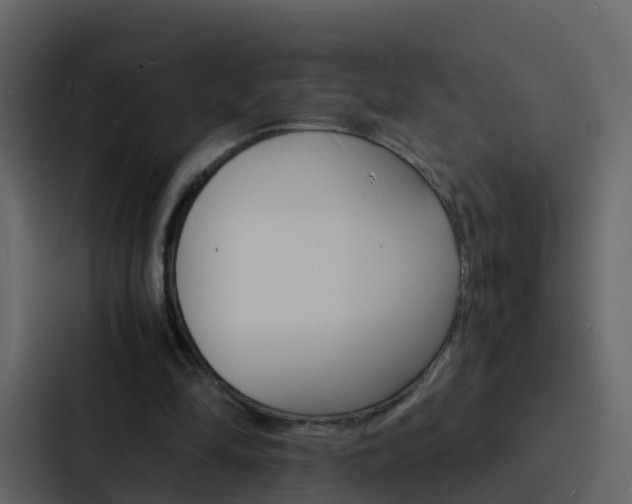 X0000088130294200705141003