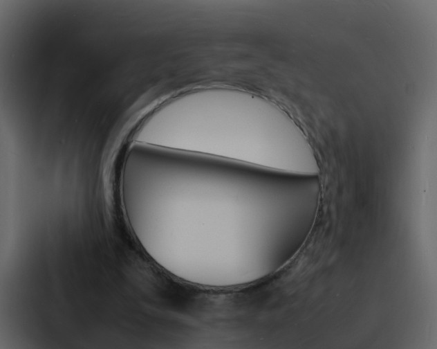 X0000088130295200705141003