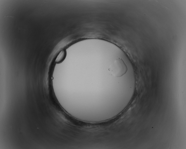 X0000088130296200705141003