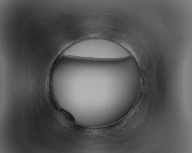 X0000088130297200705141003