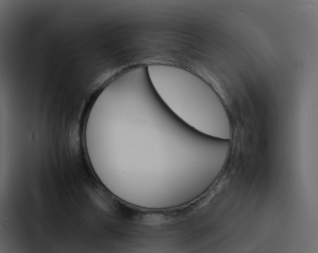 X0000088130298200705141003