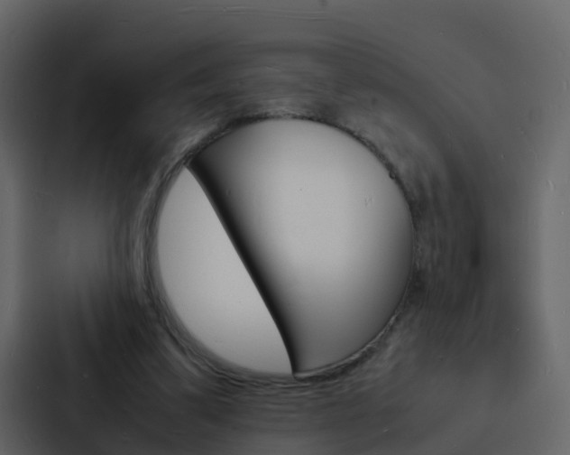 X0000088130299200705141003