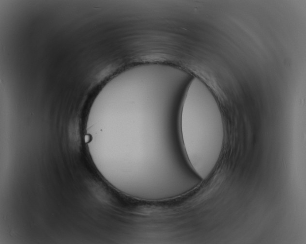 X0000088130300200705141003