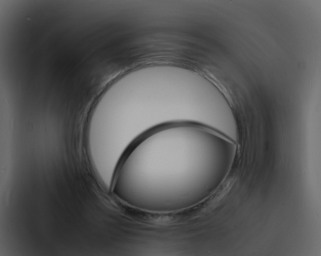 X0000088130301200705141003