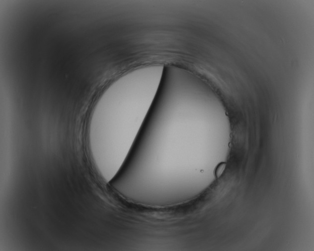 X0000088130303200705141003