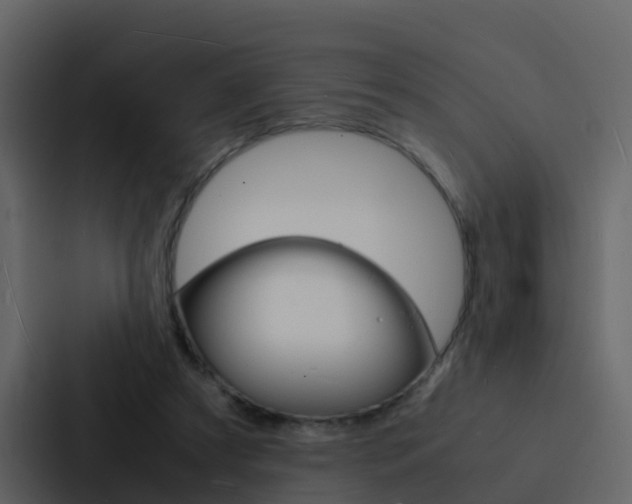 X0000088130305200705141003