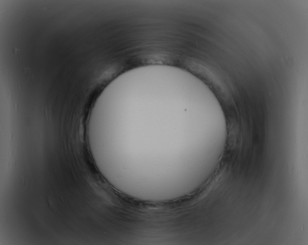 X0000088130310200705141003