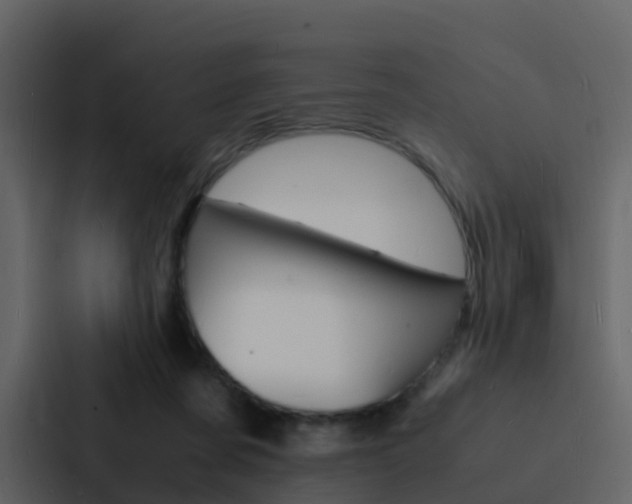 X0000088130311200705141003