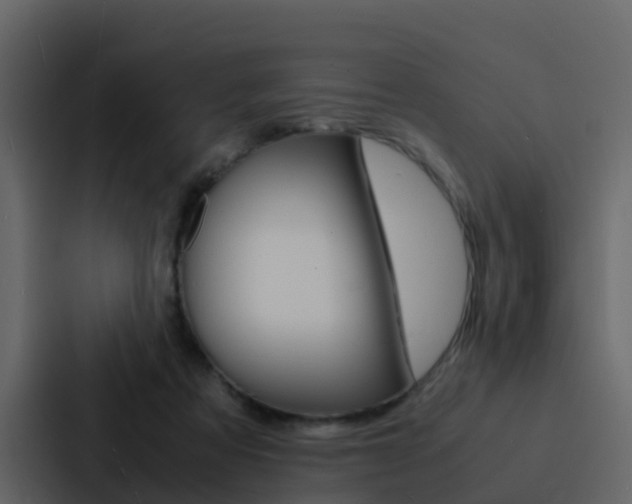 X0000088130313200705141003